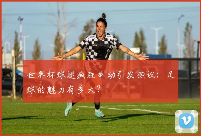 世界杯球迷疯狂举动引发热议：足球的魅力有多大？