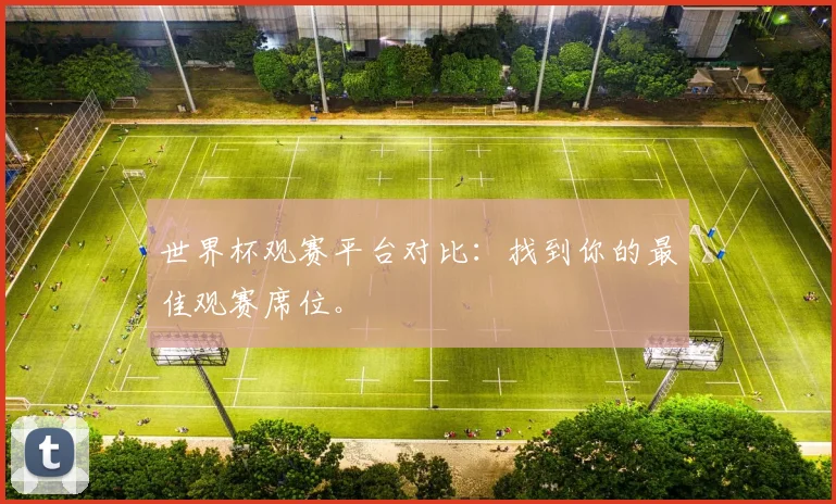 世界杯观赛平台对比：找到你的最佳观赛席位。