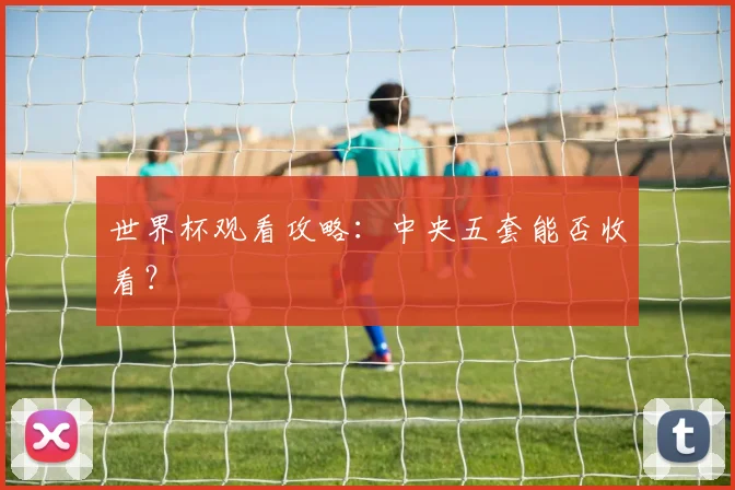 世界杯观看攻略：中央五套能否收看？