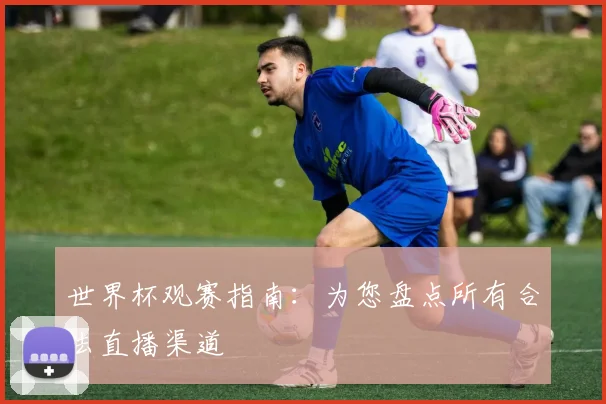 世界杯观赛指南：为您盘点所有合法直播渠道