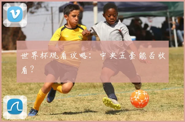 世界杯观看攻略：中央五套能否收看？